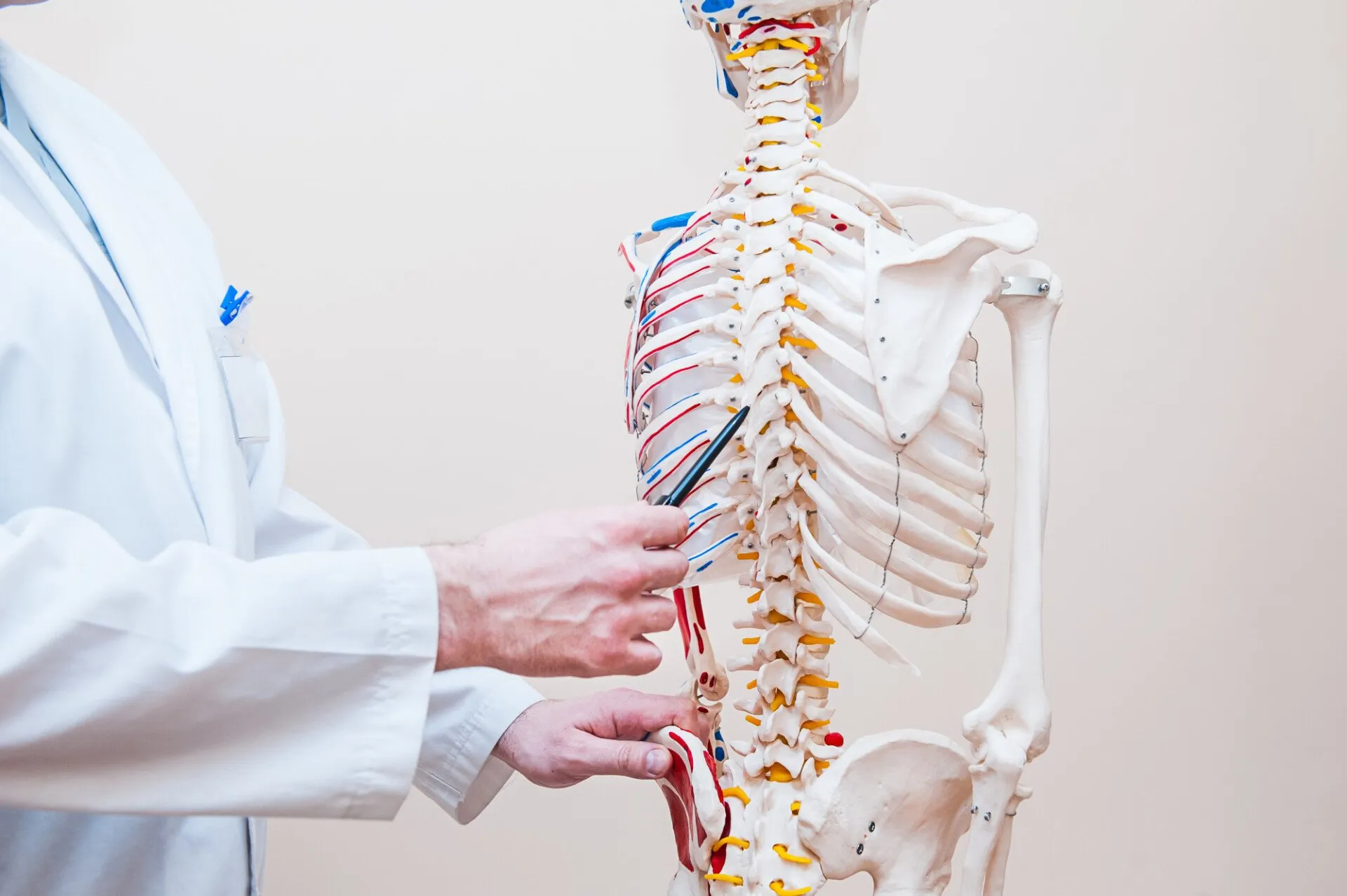 How Chiropractic Can Relieve Your Pain