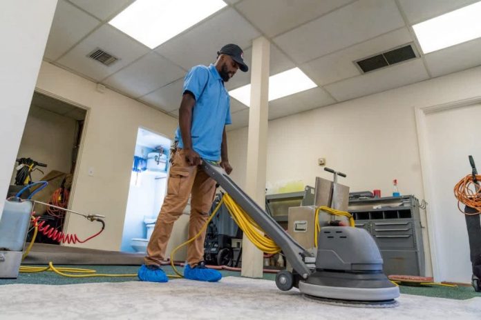 The Best Carpet Cleaning Products on the Market