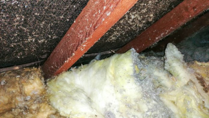 Asbestos in Insulation