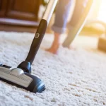 Why Regular Carpet Cleaning is Important for Pet Owners